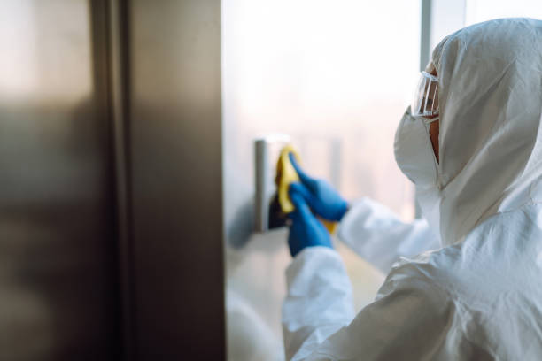 Best Mold Remediation  in Marshall, MI